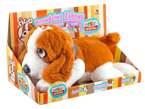 049571.jpg