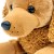 010746-alle-08.jpg