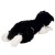 010748-alle-05.jpg